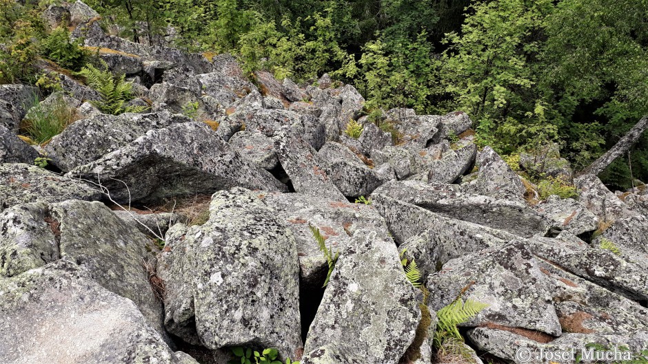 Mařský vrch - kamenné moře z vyvřelé žíly syenitového porfyru, střídavé mrznutí a rozpouštění vody v trhlinách horniny je příčinou rozpadu horniny na kamenné bloky 