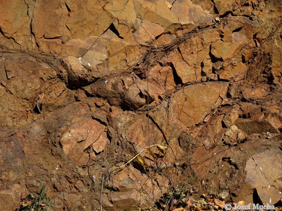 Polštářové lávy u obce Vísky - výplně mezi polštáři jsou tvořeny kousky a střípky lávy a částečně břidlicemi vytvořených ze sedimentů bahnitého dna stmelených kalcitem nebo křemenem