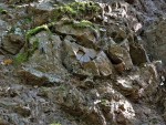 Polštářové lávy u obce Vísky - stěna lomu s zaoblenými polštáři spilitu - detail
