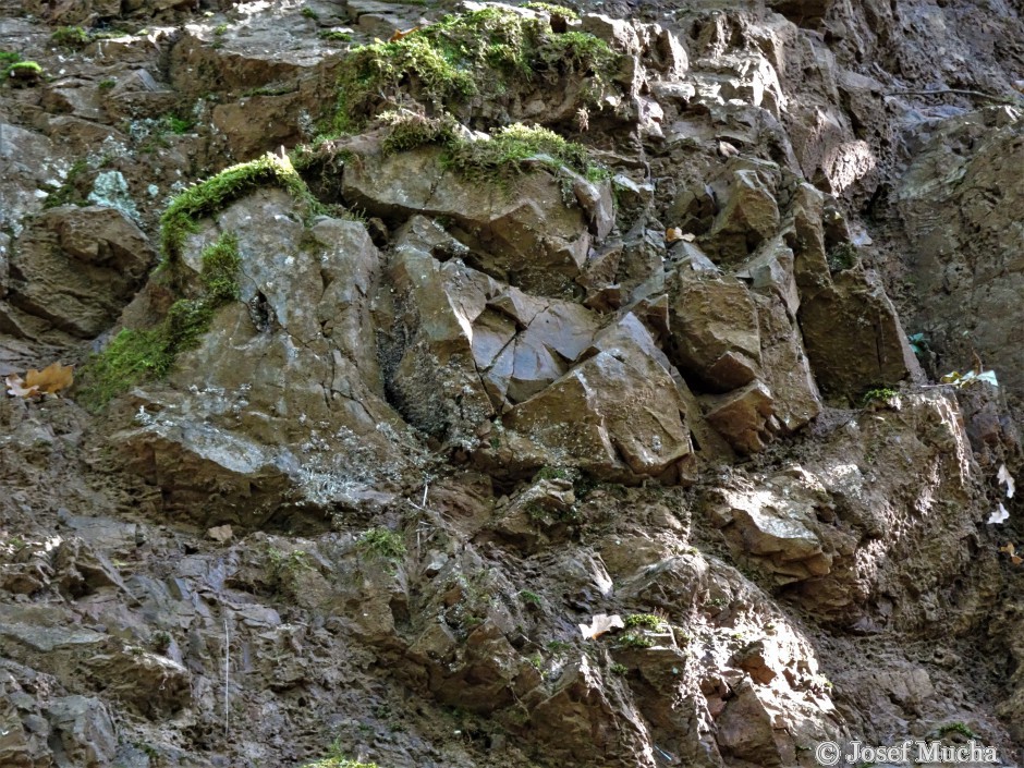 Polštářové lávy u obce Vísky - stěna lomu s zaoblenými polštáři spilitu - detail