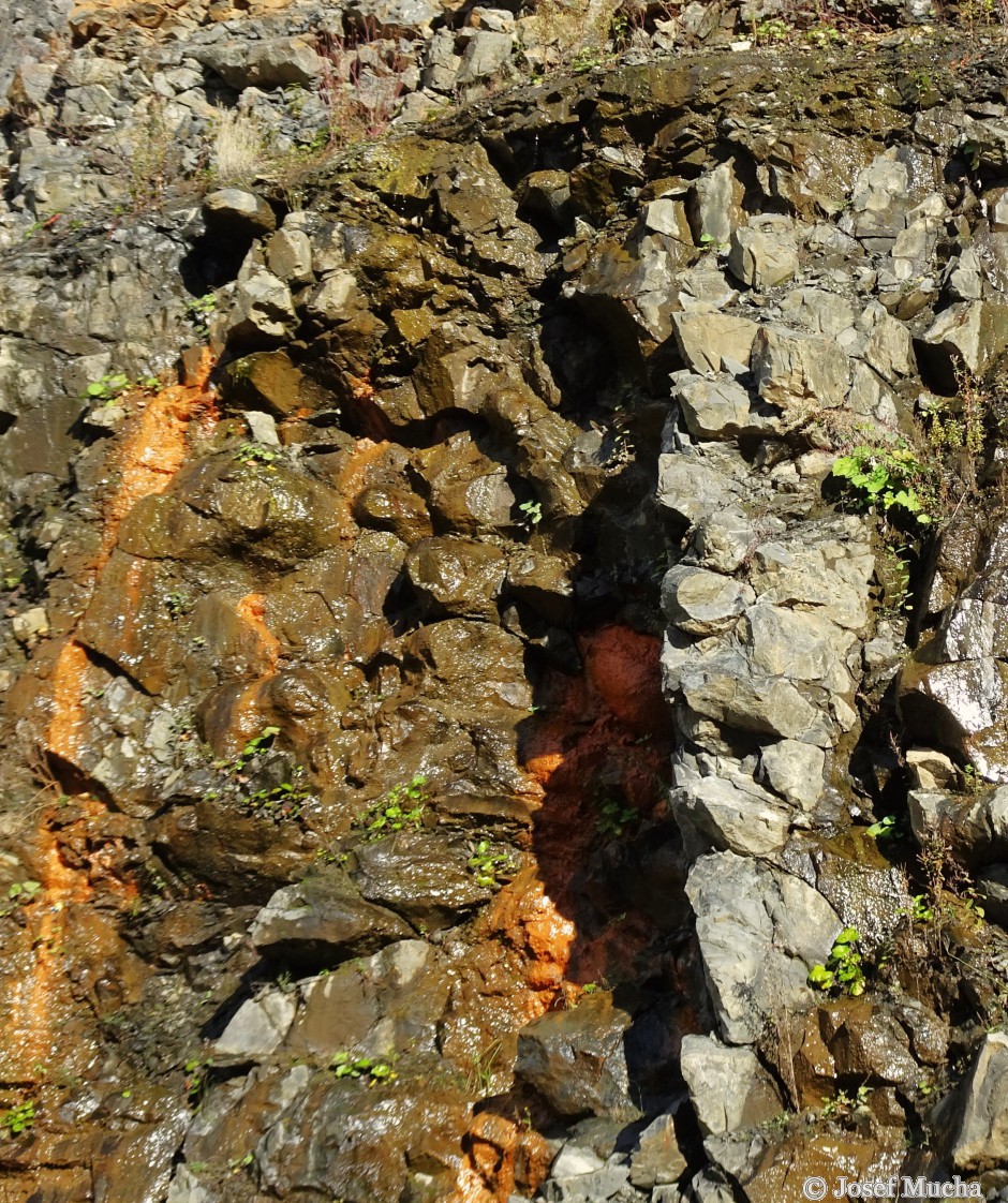 Lom Mítov - ve stěně se nacházejí i polštářové lávy z doby, kdy láva vytékala na dno moře a rychle chladla - detail bochníkovitých útvarů