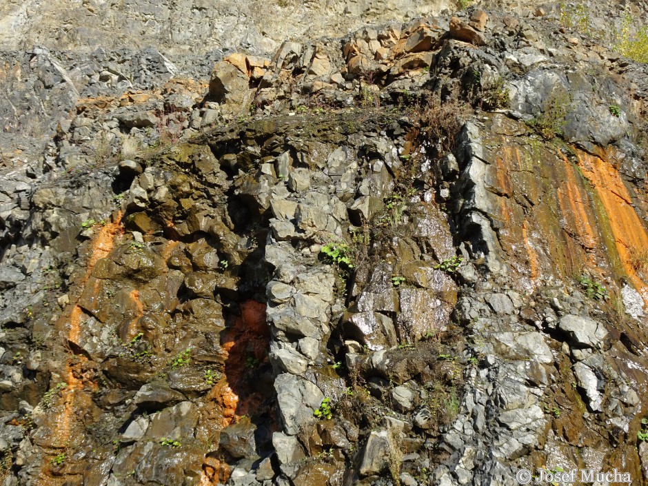 Lom Mítov - ve stěně se nacházejí i polštářové lávy z doby, kdy láva vytékala na dno moře a rychle chladla