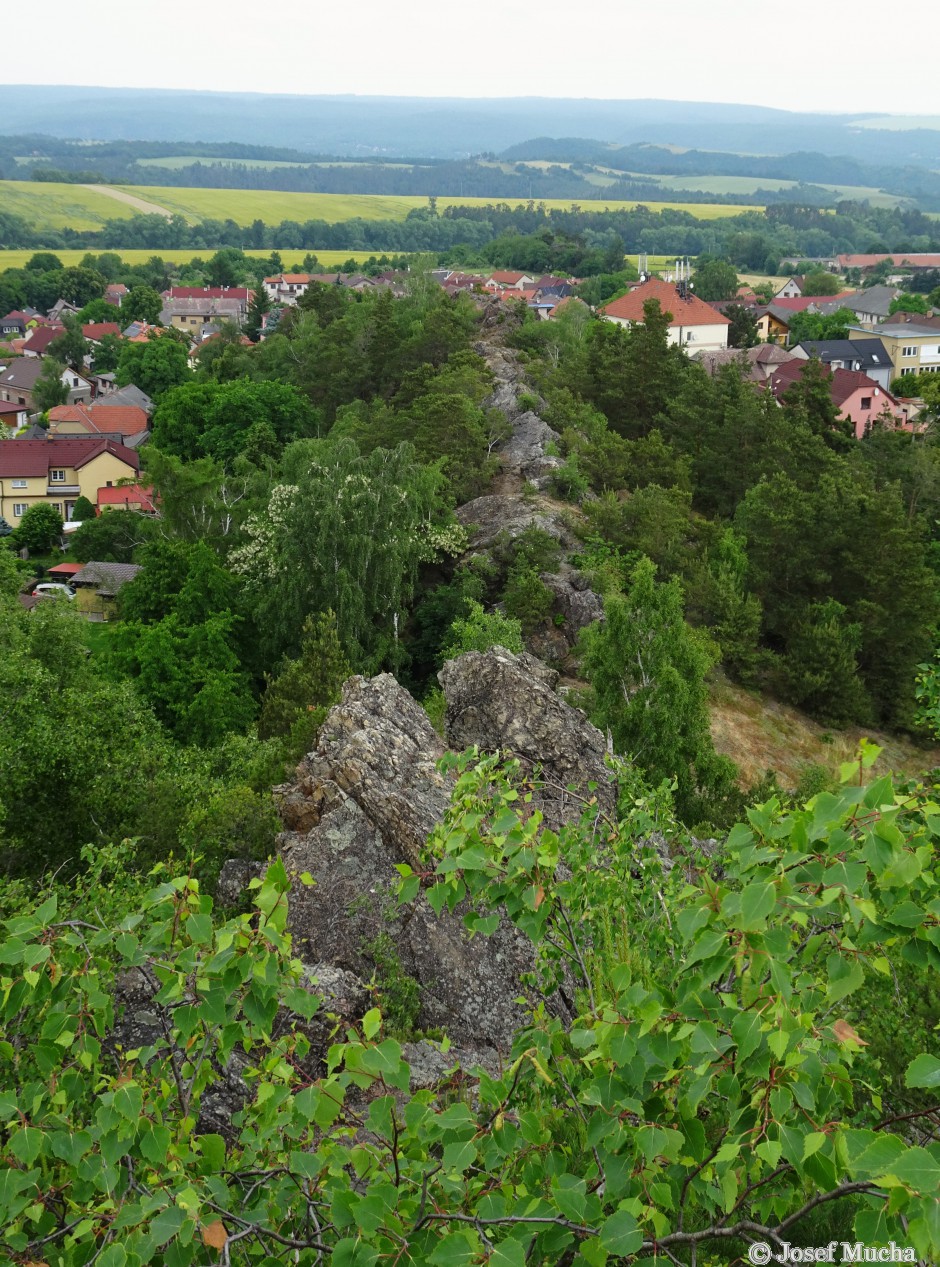 Hudlická skála - celkový pohled na silicitový hřbet (délka cca 350 m)