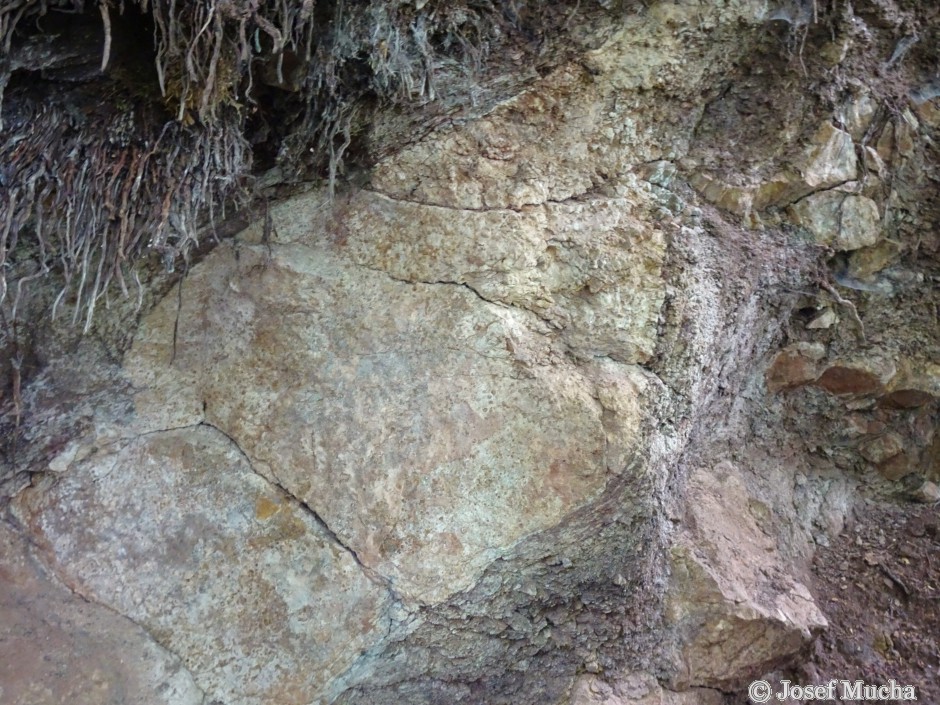 Kozlí hora - Hudlice - diabasová polštářová láva s mandičkovou strukturou ve stěně odkryvu - detail