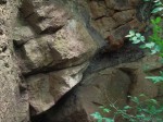 Kozlí hora - Hudlice - diabasová polštářová láva s mandičkovou strukturou, na rozpukané hornině jsou vidět mandličky