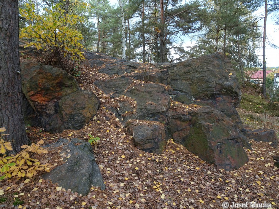 Břasy - vrch Křemenáč - silicitové skalky