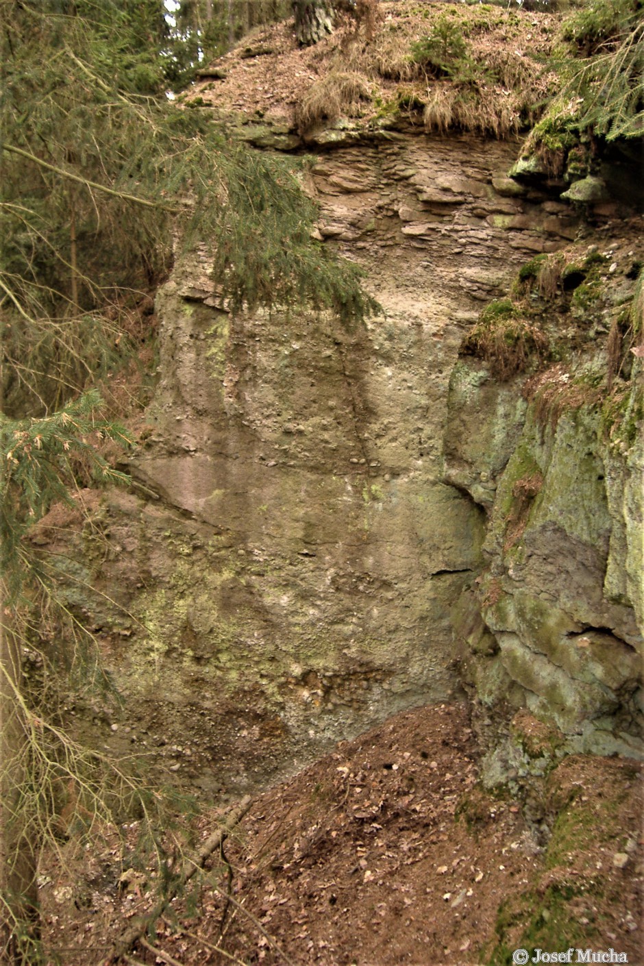 Příšovská homolka - magma proniklo zlomy ve vrstvách karbonských (prvohorních) sedimentů