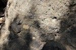 Veliš - vulkán a hrad u Jičína - podložní druhohorní vrstvy jílovců a kusy bazanitu se dostaly do tufu při prudkých explozích, tzv. xenolity
