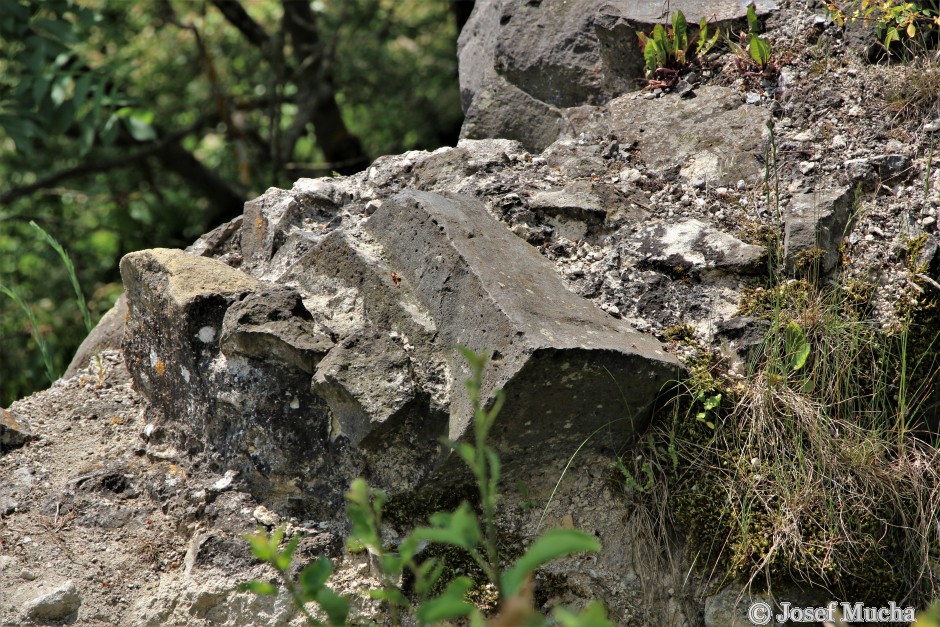 Veliš - vulkán a hrad u Jičína - malé zbytky zdí z královského hradu - bazanit s bublinkami po plynech, možná někde měl bazanit sloupcovou odlučnost - ukázka již odtěženého bazanitu