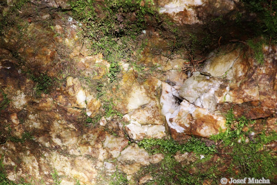 Vápenka u Kovářské - těžený a zpracovávaný dolomitický vápenec