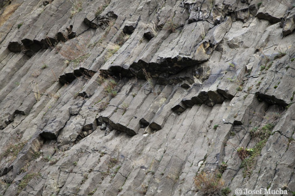 Vrch Radobýl u Litoměřic - sloupcová odlučnost čediče - detail sloupců