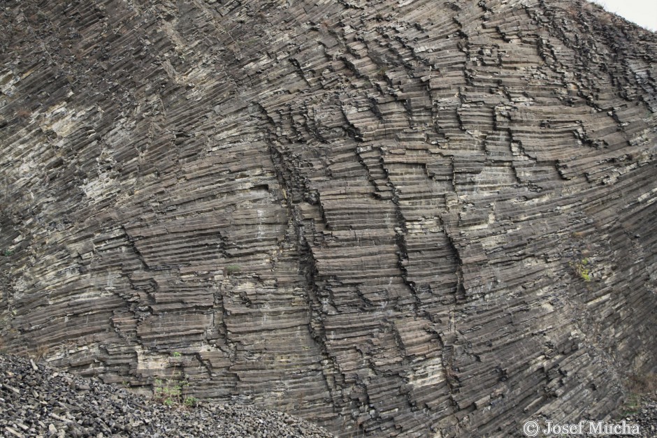 Vrch Radobýl u Litoměřic - sloupcová odlučnost čediče - detail sloupců