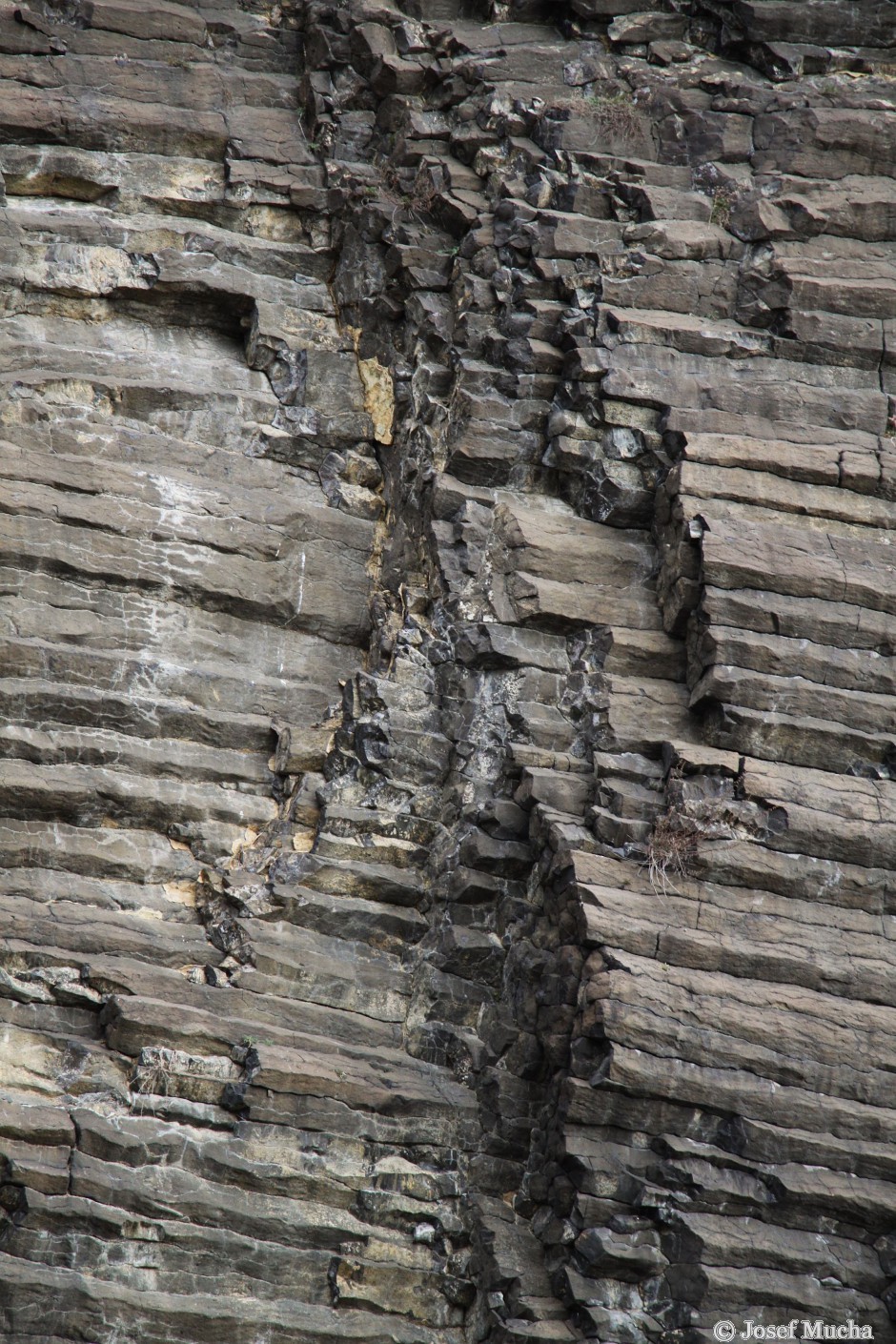 Vrch Radobýl u Litoměřic - sloupcová odlučnost čediče - detail sloupců