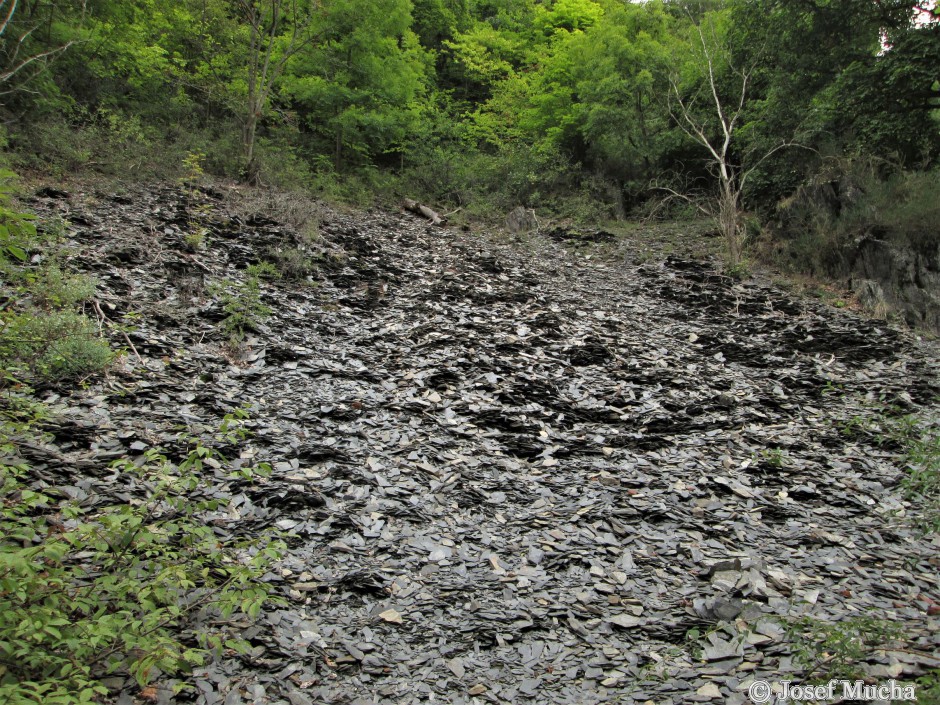 Rabštejn nad Střelou - břidlice se lámala na mnoha místech a všude jsou zbytky po výrobě střešní krytiny