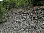 Rabštejn nad Střelou - zbytky břidlice ve starém lomu