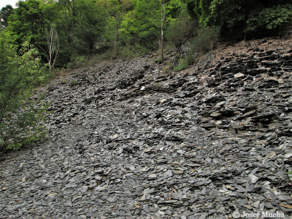 Rabštejn nad Střelou - zbytky břidlice ve starém lomu