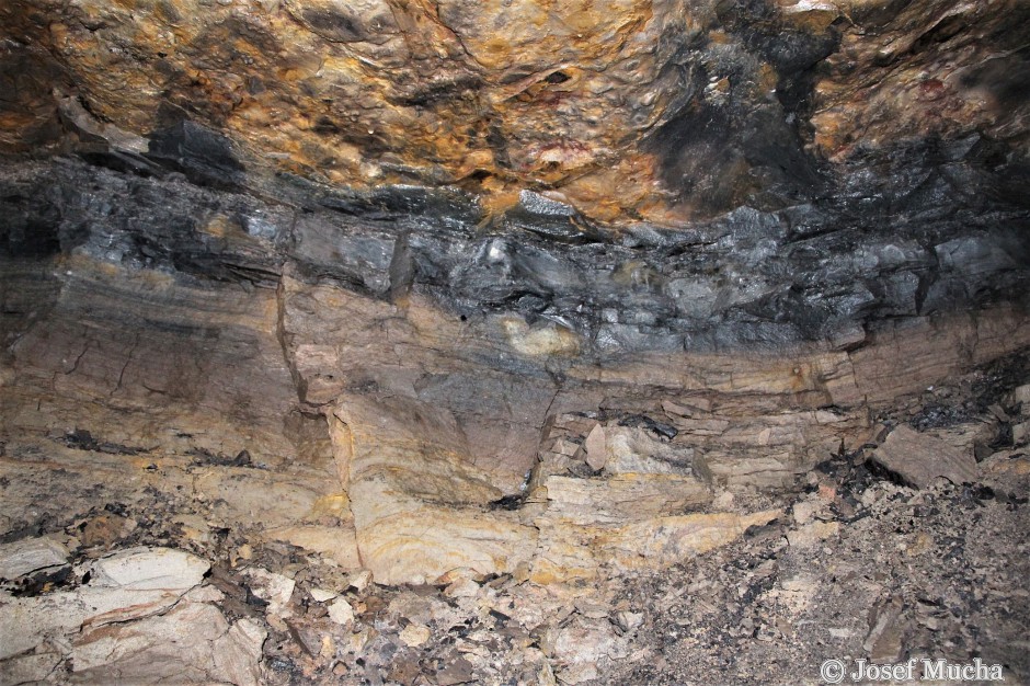 Hrádek - lomy Nad Planinou - detail vrstvy uhelného jílovce s fosilní karbonskou flórou (po rozklepnutí jílovce se objeví)