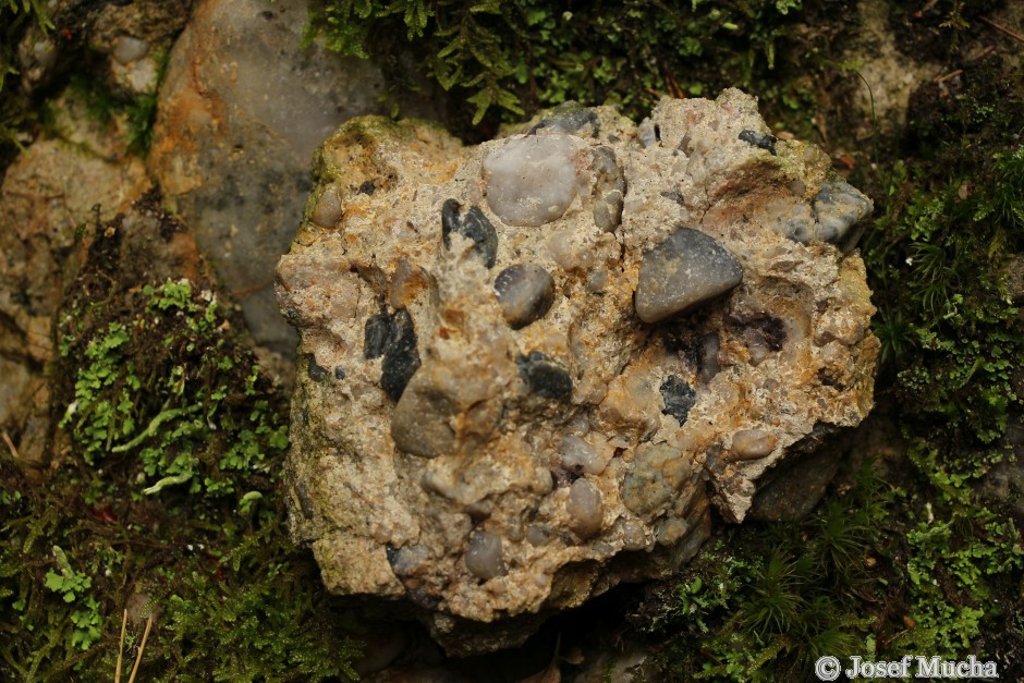 Hrádek - lomy Nad Planinou - bazální slepenec, nejstarší sediment karbonu na Mirošovsku