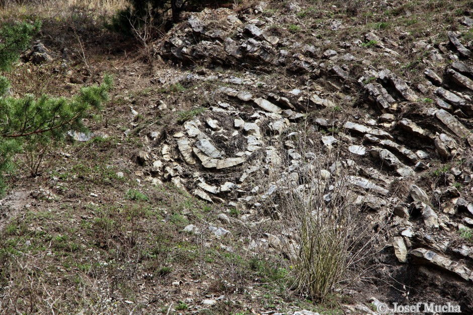 Budňanská skála - detail provrásnění