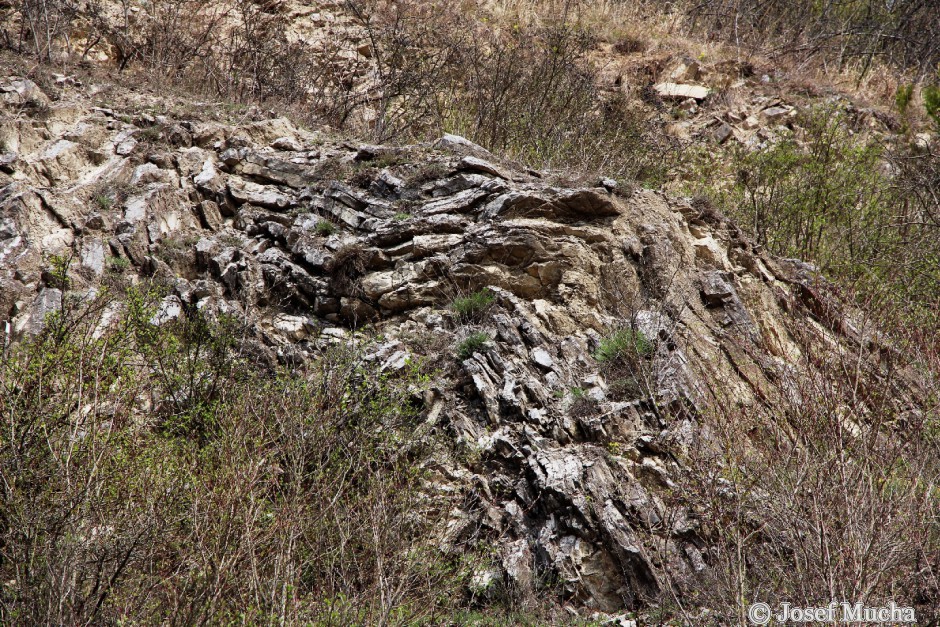 Budňanská skála - detail provrásnění