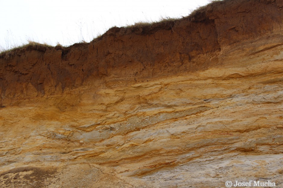 Pískovna Běleč u Karlštejna - třetihorní vrstvy písků a jílů s kvartérním pokryvem sprašemi - eolické (váté) sedimenty