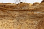 Pískovna Běleč u Karlštejna - šikmé zvrstvení písků vznikající v meandrech řek nebo v deltách řek ústících do jezer