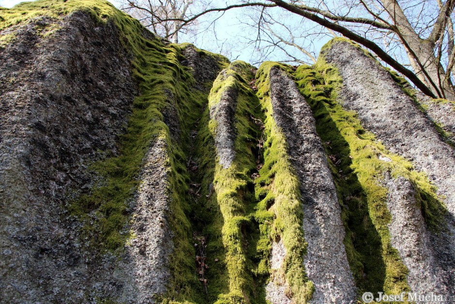 Kynžvartský kámen - detail pseudoškrapů