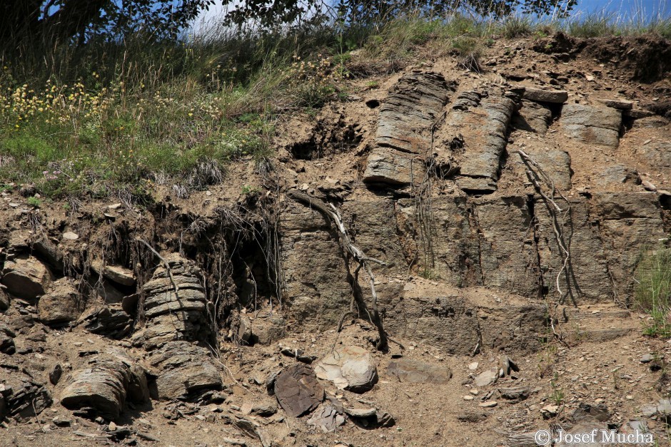 Těšetice - lom - sloupcová odlučnost s příčným rozpukáním - detail