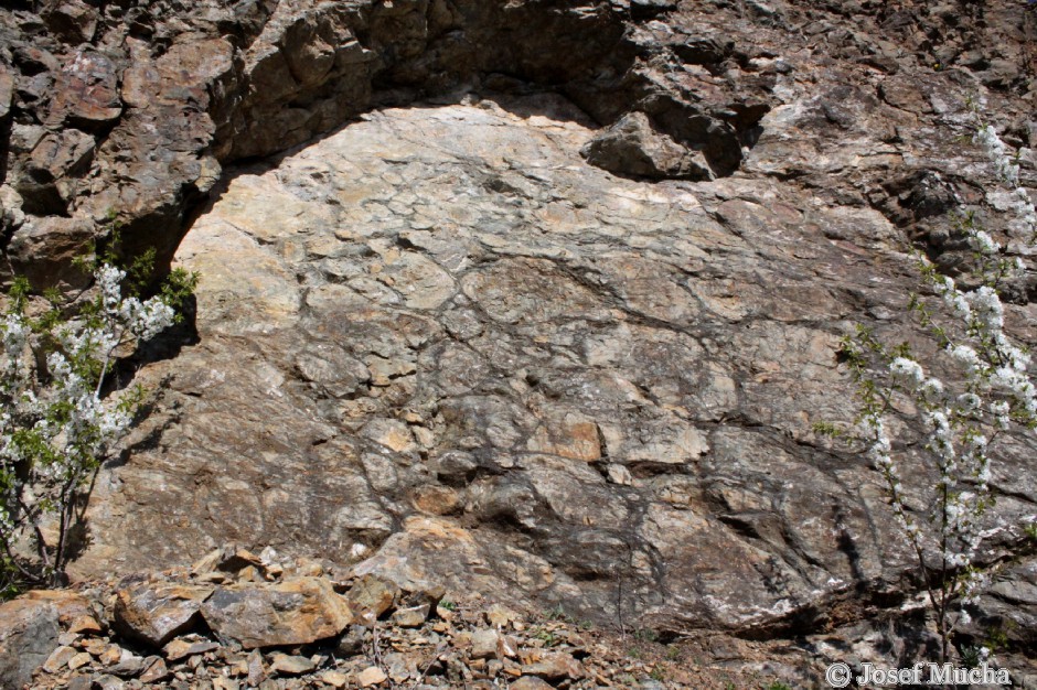 Háje u Koterova - polštářová láva - tektonický řez skalní stěnou