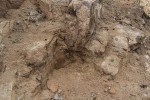 Lomy Štěnovice - zvětrávající granodiorit na ostrohranný písek