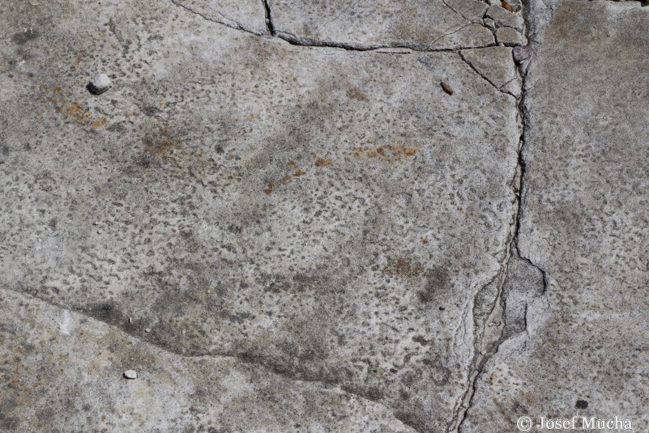 Lom U Devíti Křížů - zkamenělé dešťové kapky staré 210 mil. let na břehu triasového jezera