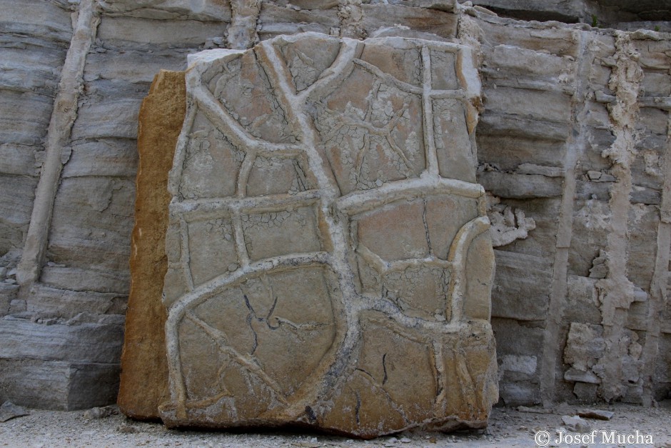 Lom U Devíti Křížů (Krákorka) - zkamenělé vysychající rozpraskané bahenní dno jezera - negativ