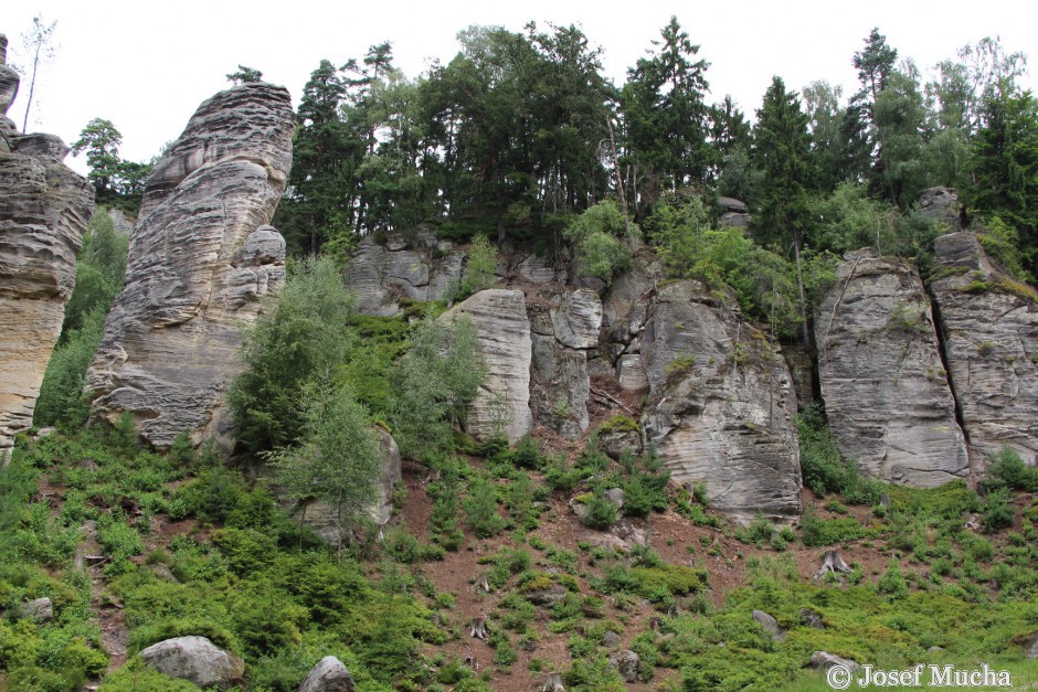 Prachovské skály - skalní město