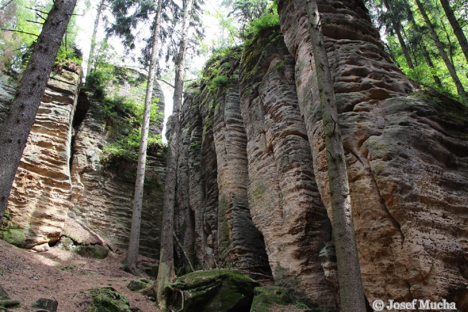 Prachovské skály - skalní město