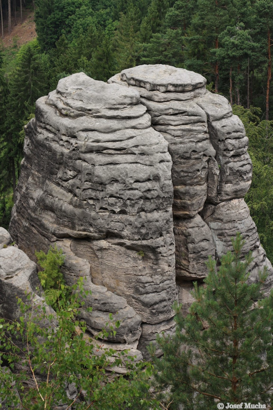 Prachovské skály - skalní město - pískovce