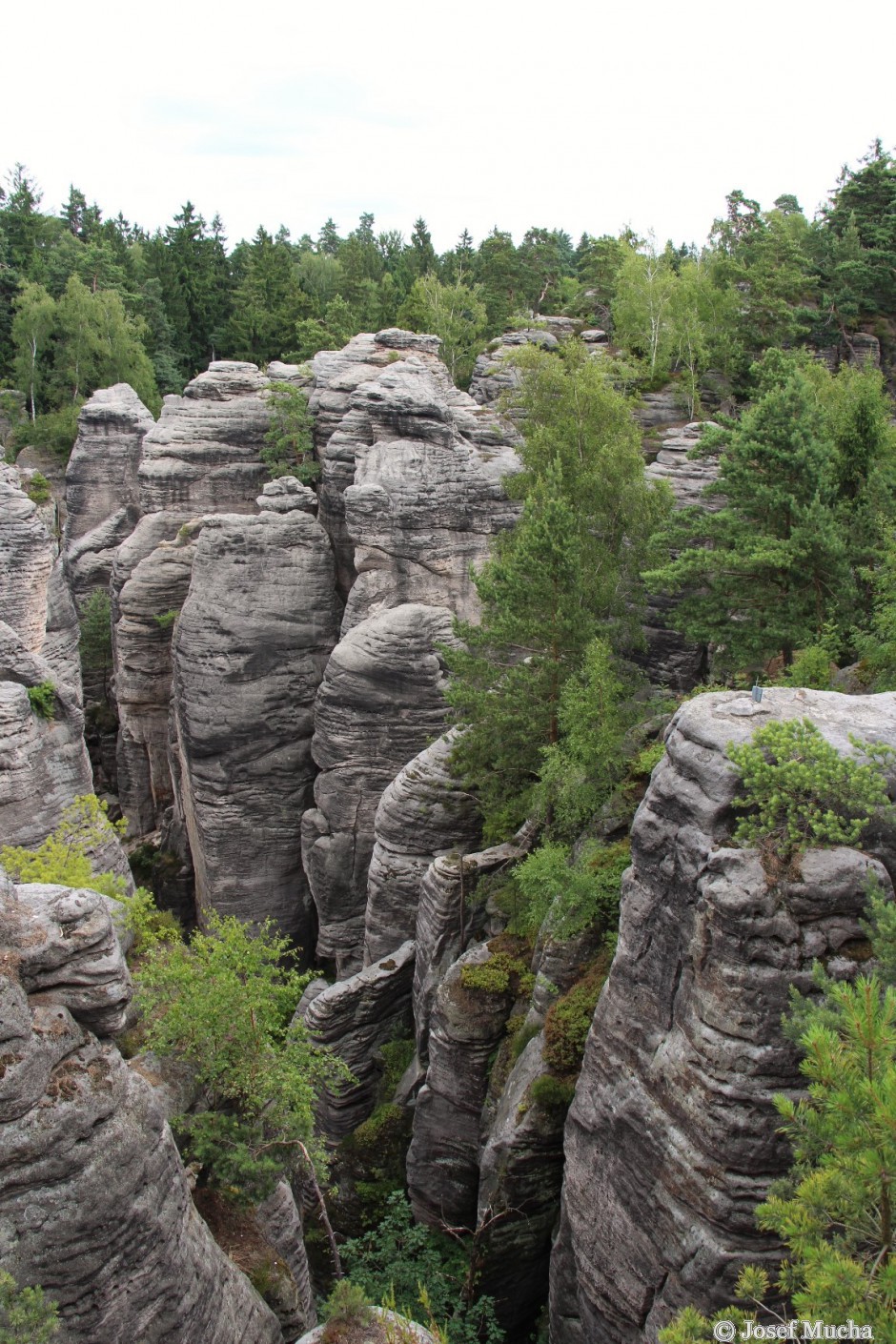 Prachovské skály - skalní město