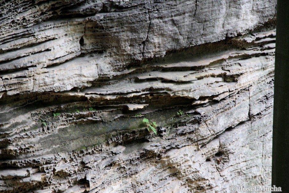 Hruboskalsko - detail zvětrávání - římsy a voštiny