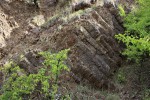 Blšanský chlum - sloupcová odlučnost bazaltu - některé sloupy se příčně rozpadají