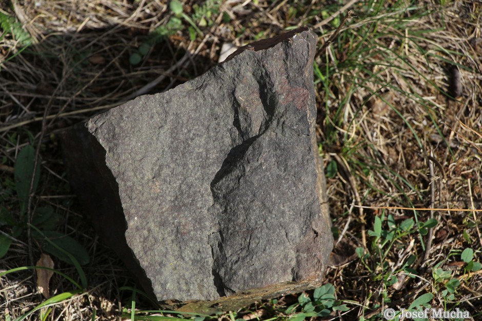Blšanský chlum - bazaltoid (čedič)