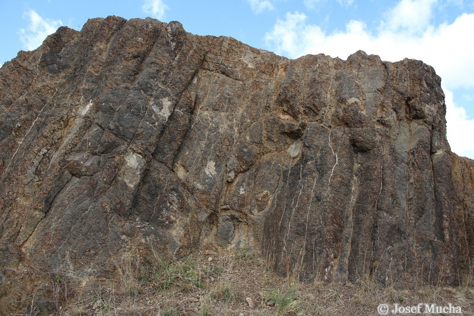 Blšanský chlum - vrchol - sloupcová odlučnost bazaltu, nepatrné mezery mezi sloupy byly druhotně v pozdější době vyhojeny křemenem, příp. kalcitem z hydrotermálních roztoků (bílé vrstvičky)