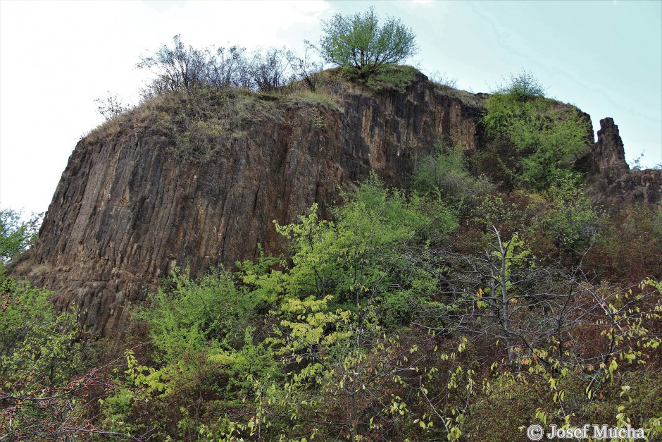 Blšanský chlum - sloupcová odlučnost bazaltu - pohled ze severozápadu