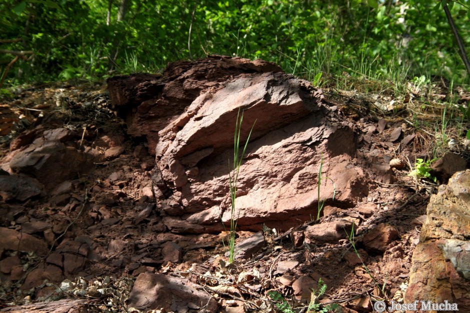 Lom Ejpovice - šárecké souvrství s Fe rudou - vznikalo na dně ordovického moře sedimentací