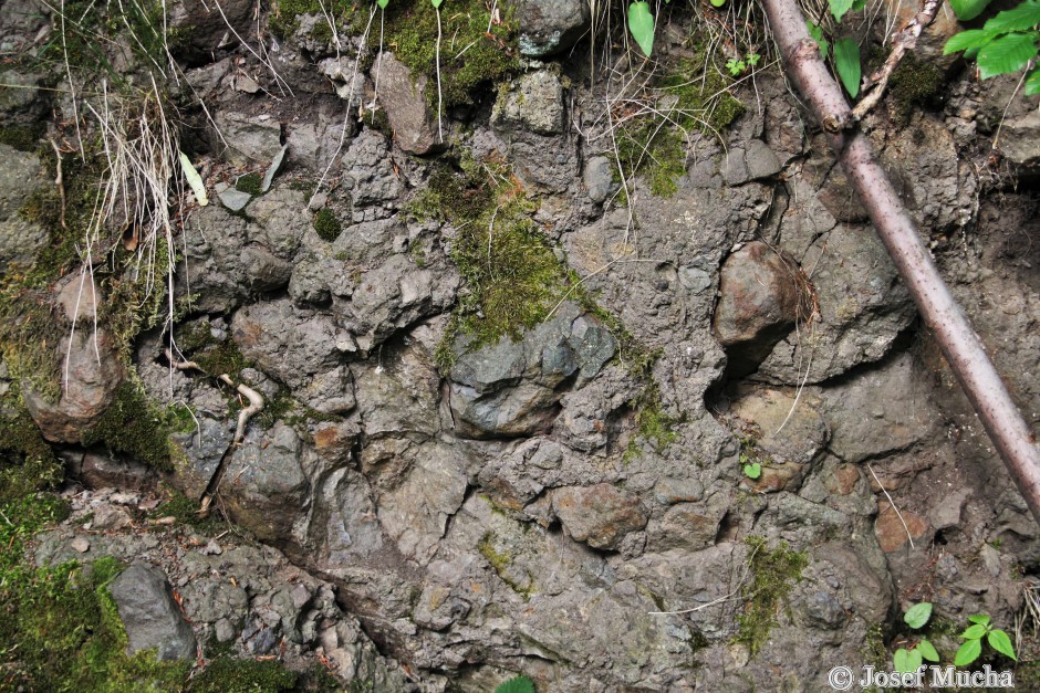 Skalky skřítků - brekcie - směs kamení, vulkanoklastik a popela - vlevo od středu obrázku - ukázka biologického zvětrávání - kořen stromku prorůstá a rozšiřuje trhlinu ve vulkanické hornině