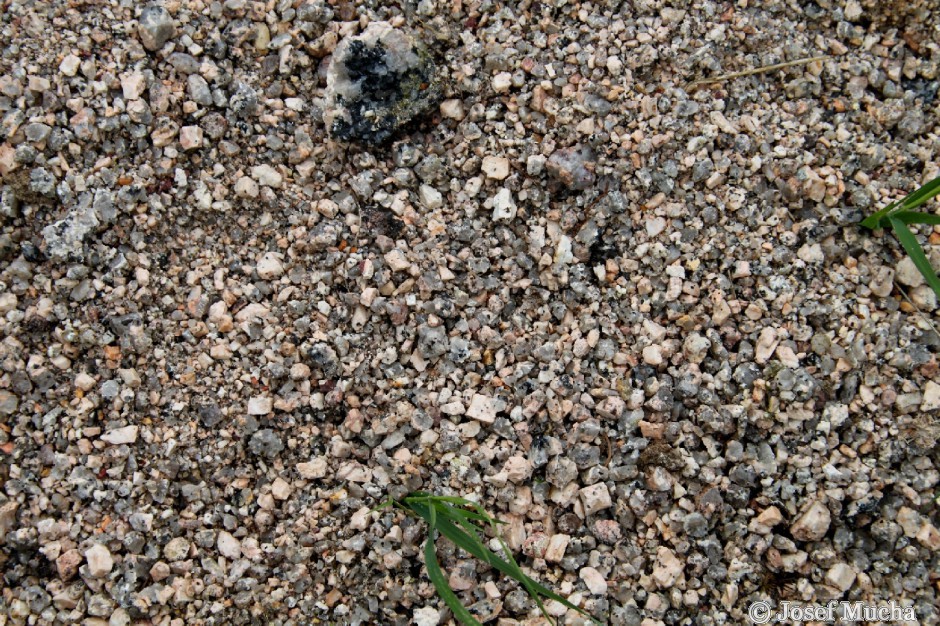 Horní Blatná - pískovna - zcela zvětralý granit