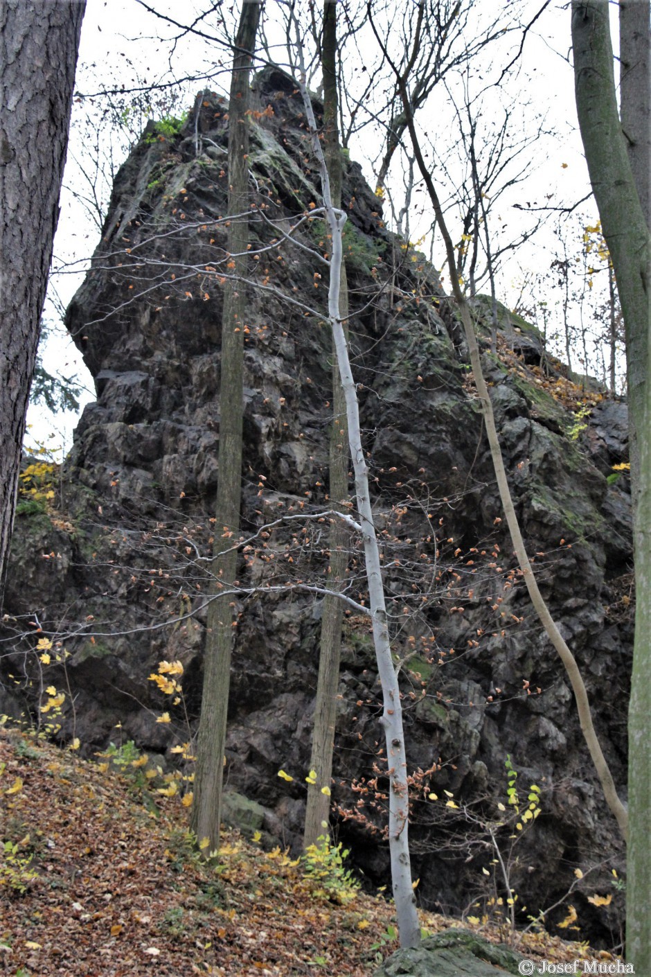 Polštářové lávy a hrad Homberk u obce Vísky - silicitová (buližníková) skála na které stával již zcela rozpadlý hrad Homberk