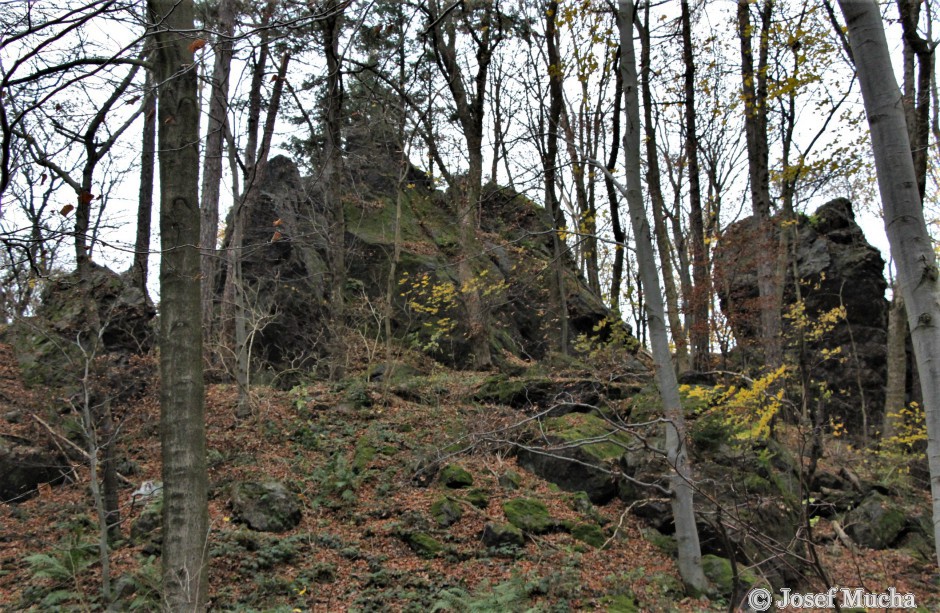 Polštářové lávy a hrad Homberk u obce Vísky - silicitová (buližníková) skála na které stával již zcela rozpadlý hrad Homberk