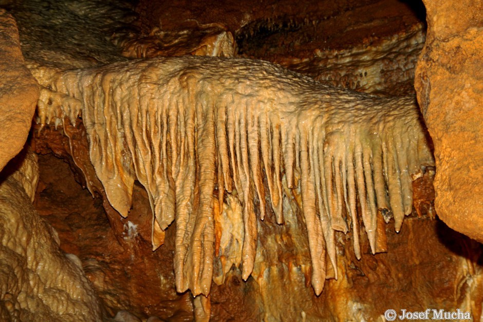 Koněpruské jeskyně - síň U varhan - varhany