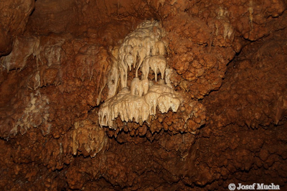 Koněpruské jeskyně - koněpruské růžice (ne bílý sintropád uprostřed) - kulovité tvary na stěně - nejstarší krápníková výzdoba jeskyní - stáří až 1 mil. let