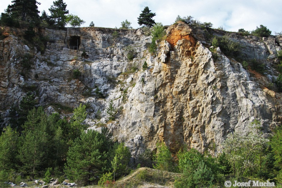 Houbův lom - Koněprusy - pod původním vchodem do jeskyní je patrná hranice mezi suchomastskými a koněpruskými vápenci