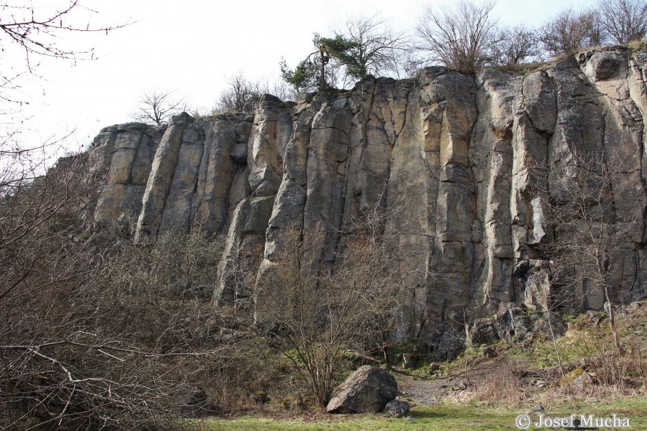 Polínský vrch - Krsy - sloupcovitá odlučnost bazaltu - sloupce až 20 m vysoké